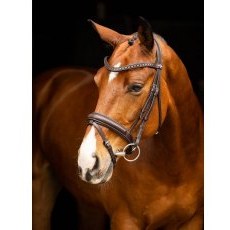 LeMieux Arika Dressage Bridle