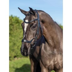 LeMieux Arika Drop Bridle