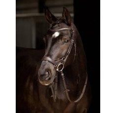 LeMieux Arika Drop Bridle LeMieux Arika Drop Bridle