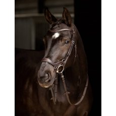 LeMieux Arika Drop Bridle