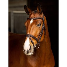 LeMieux Arika Flash Bridle