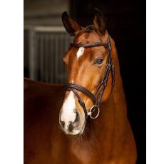 LeMieux Arika Flash Bridle LeMieux Arika Flash Bridle