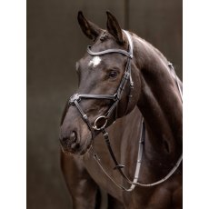 LeMieux Arika Grackle Bridle