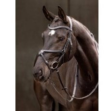 LeMieux Arika Grackle Bridle LeMieux Arika Grackle Bridle