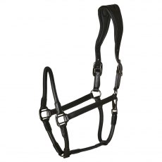 Catago Leather Halter