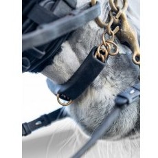 LeMieux Curb Chain Guard LeMieux Curb Chain Guard