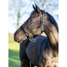 LeMieux Rope Control Headcollar