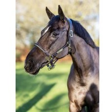 LeMieux Rope Control Headcollar LeMieux Rope Control Headcollar