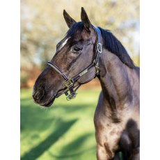 LeMieux Rope Control Headcollar