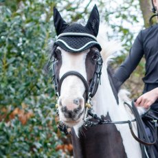 Cameo Equine Core Ear Bonnet