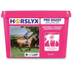 Horslyx Pro Digest Balancer