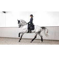 LeMieux Crystal Suede Dressage Pad LeMieux Crystal Suede Dressage Pad
