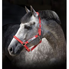 Horseware Fieldsafe Headcollar