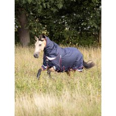 LeMieux Kudos Turnout Rug - 50g