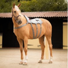 Equilibrium Massage Pad