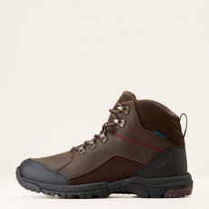 Ariat Mens Skyline Mid H2O - Chocolate Brown