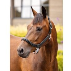 LeMieux Leather Grooming Headcollar
