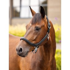 LeMieux Leather Grooming Headcollar