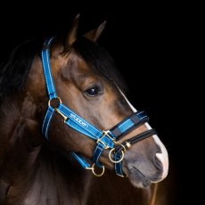 stubben UK LK Controller for Stable Halters stubben UK LK Controller for Stable Halters