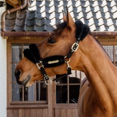 Kentucky Nylon Sheepskin Head Collar - Soft