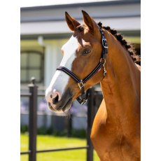 LeMieux Essential Yard Headcollar - Black