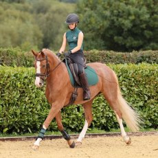 Shires Team Aubrion Sleeveless Baselayer - Green