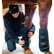 Horseware Ice-Vibe