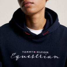 Tommy Hilfiger Greenwich Graphic Hoodie - Desert Sky