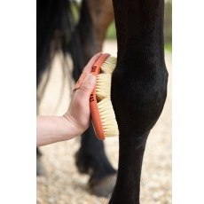 LeMieux Flexi Scrubbing Brush - Apricot LeMieux Flexi Scrubbing Brush - Apricot
