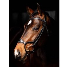 LeMieux Arika Anatomic Noseband Bridle - Black LeMieux Arika Anatomic Noseband Bridle - Black