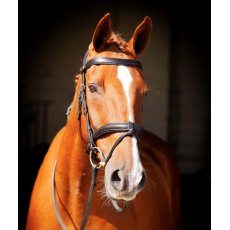 Ecorider Claddagh Bridle