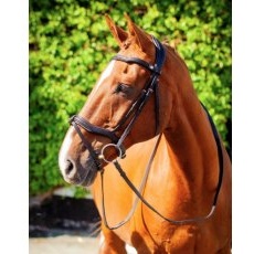 Ecorider Kilkenny v2.0 Bridle