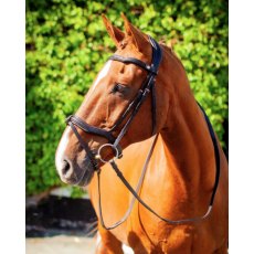 Ecorider Kilkenny v2.0 Bridle