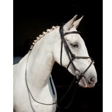 Ecorider Galway v2.0 Grackle Bridle Ecorider Galway v2.0 Grackle Bridle