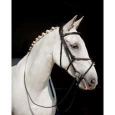 Ecorider Galway v2.0 Grackle Bridle