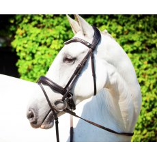 Ecorider Navan v2.0 Bridle