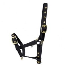 Hy Foal Head Collar Hy Foal Head Collar