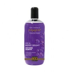 Supreme Products Oh So Berry Bright Shampoo