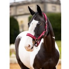 LeMieux Logo Headcollar - Ember