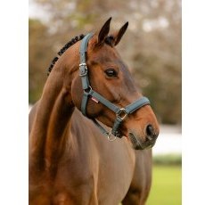 LeMieux Soft Shell Headcollar - Cinder LeMieux Soft Shell Headcollar - Cinder