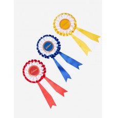 LeMieux Hobby Horse Rosette Pack LeMieux Hobby Horse Rosette Pack