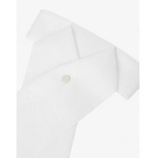 LeMieux Classic Stock - White LeMieux Classic Stock - White