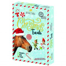 Lincoln Naughty or Nice Advent Calendar