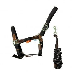 Cameo Equine Performance Leather Headcollar And Lead Cameo Equine Performance Leather Headcollar And Lead