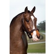 LeMieux Stitched Hunter Headcollar