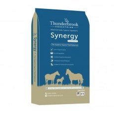 ThunderBrook Synergy ThunderBrook Synergy