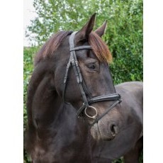 Ecorider Ecosoft Luxe Bridle