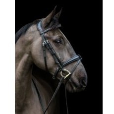 Ecorider Ecosoft Luxe Bridle