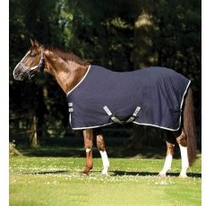 Amigo Stable Sheet Amigo Stable Sheet