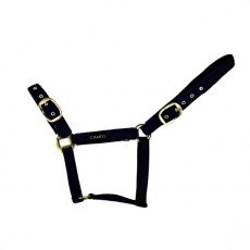 Cameo Equine Suede Padded Headcollar Cameo Equine Suede Padded Headcollar